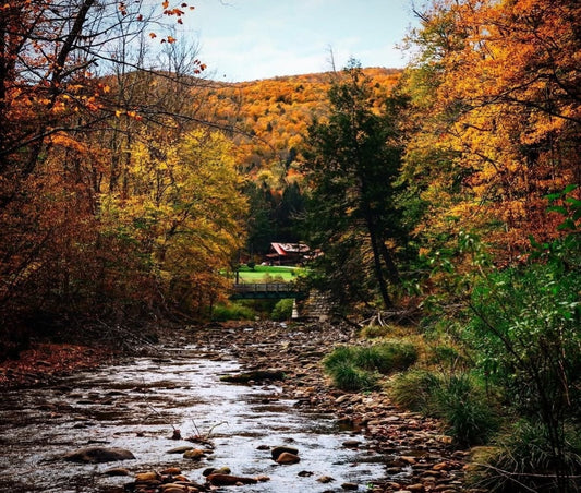 Body Sanctuary Retreat Aug 12-15