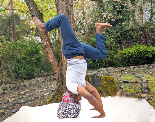 Yoga Bolster - Snow Leapard