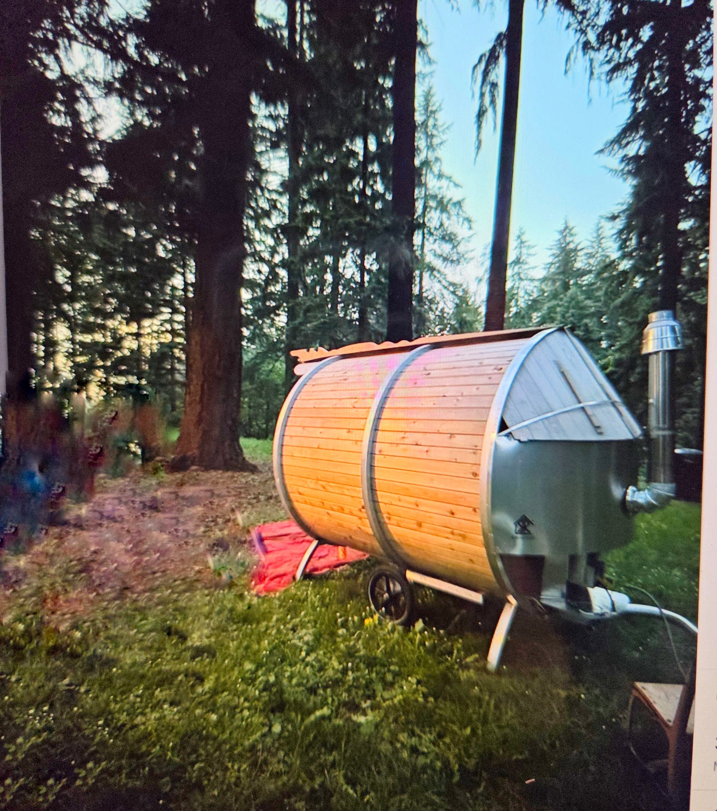 Nourishing Roots Summer Immersive